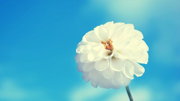 oppo强制解锁忘记密码