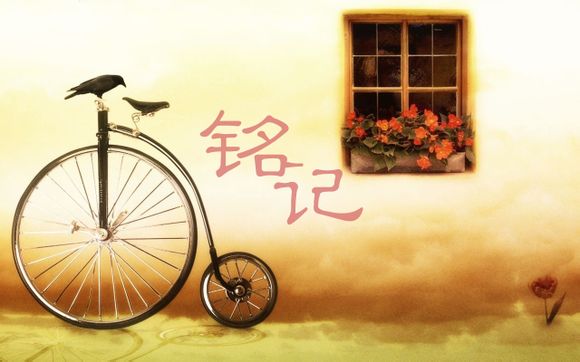 pvc是塑料还是橡胶对人体有害