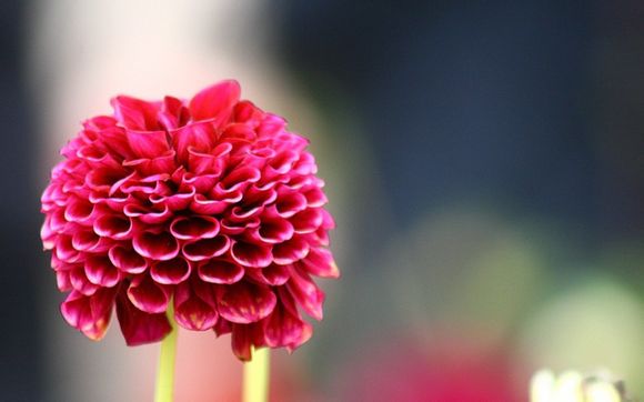 ps软件色阶在哪